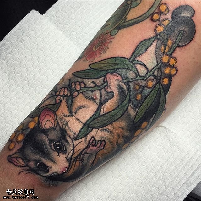 手臂老鼠咖啡豆纹身图案