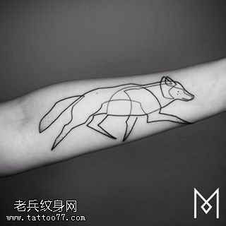 手臂线条一只狼纹身图案