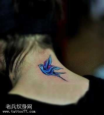 颈部彩色燕子纹身图案
