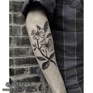 手稿经典写实植物纹身图案