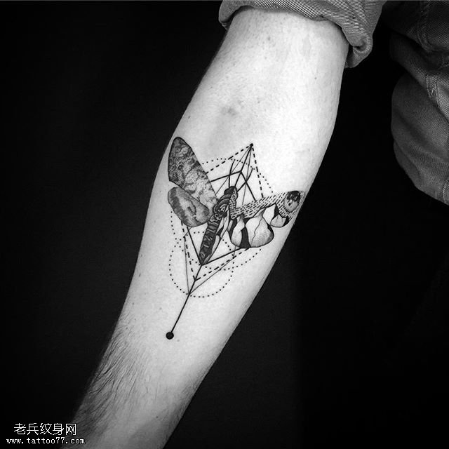 手臂几何风飞蛾纹身图案