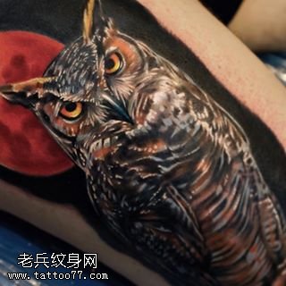 腿部经典写实的猫头鹰纹身图案