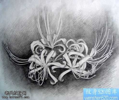 手稿彼岸花纹身图案