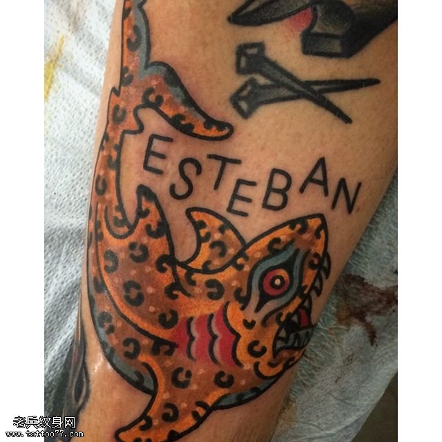 手臂彩色海豚纹身图案