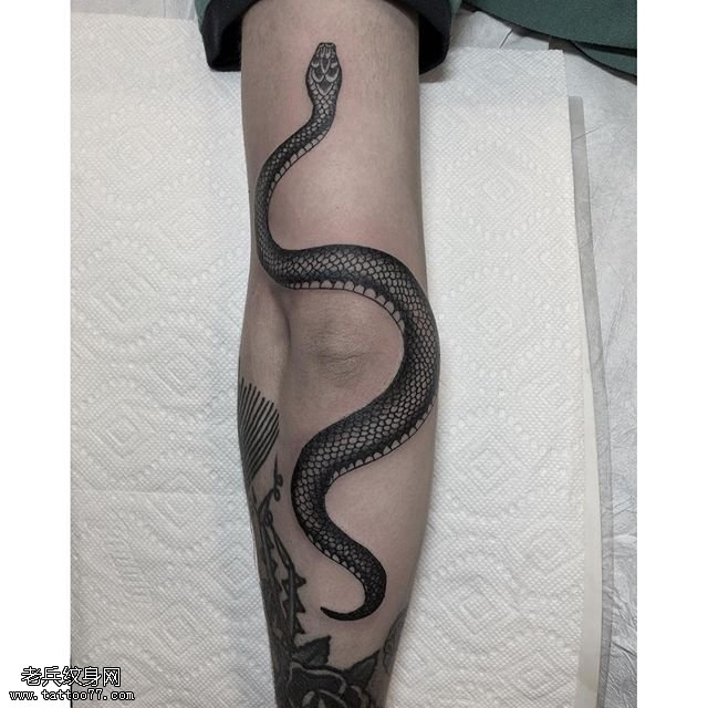 手臂经典一条蛇纹身图案