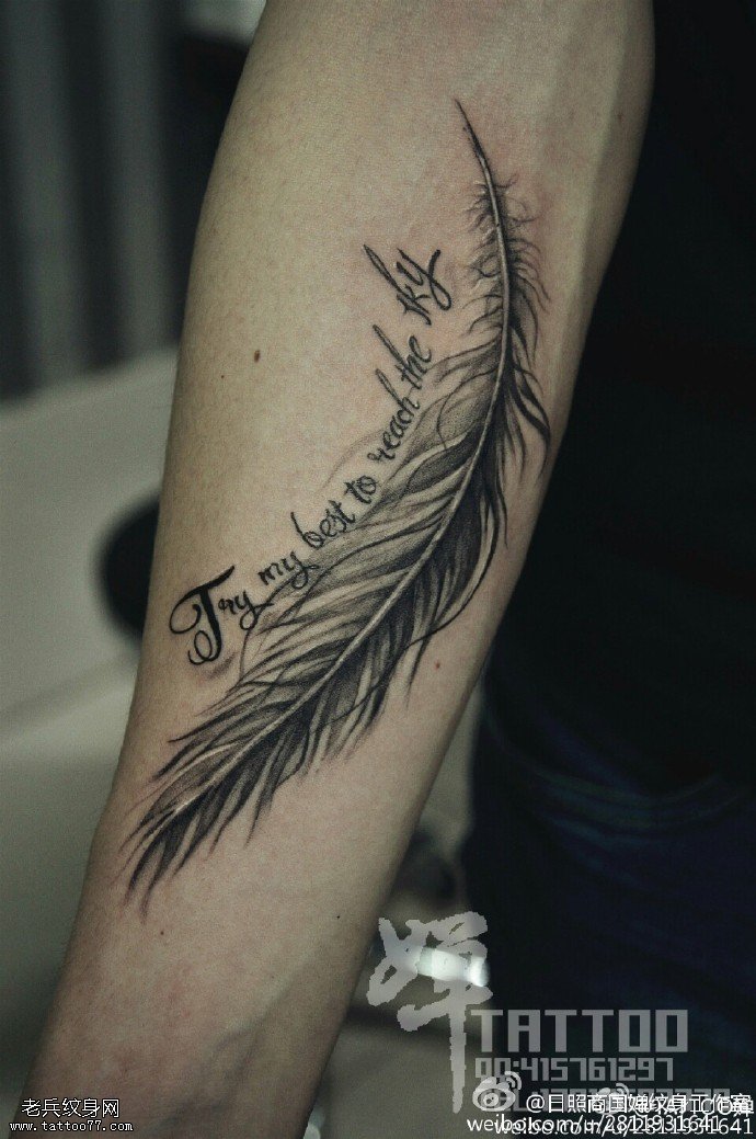手臂写实经典的羽毛纹身图案