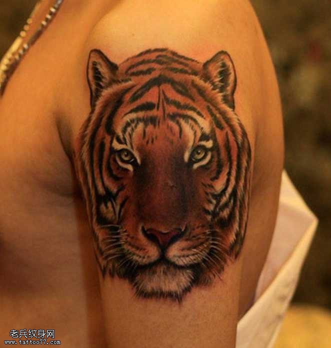 胳膊老虎头纹身图案