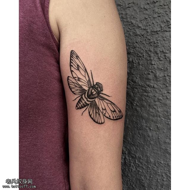 手臂经典飞蛾纹身图案