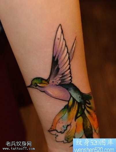 手臂彩色燕子纹身图案