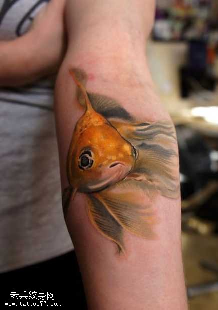 手臂金鱼纹身图案