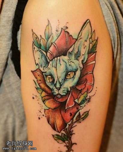 手臂彩色猫咪纹身图案