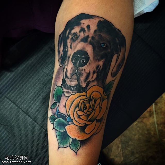 手臂经典狗狗玫瑰纹身图案