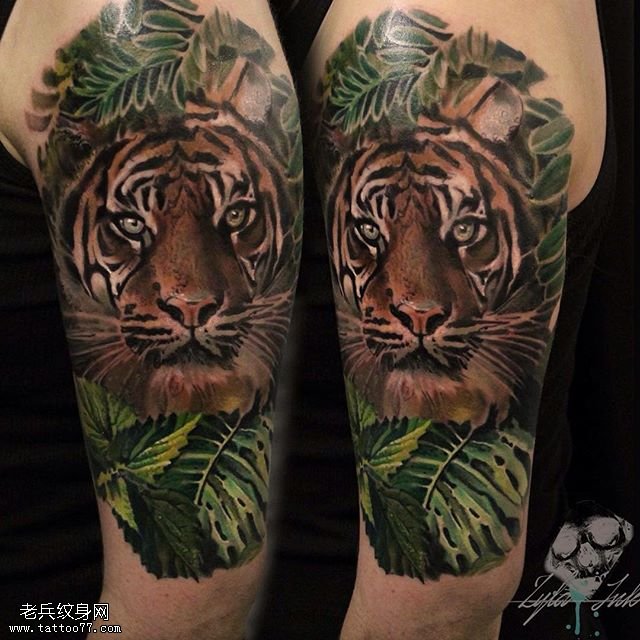 大臂上一只写实的老虎纹身图案