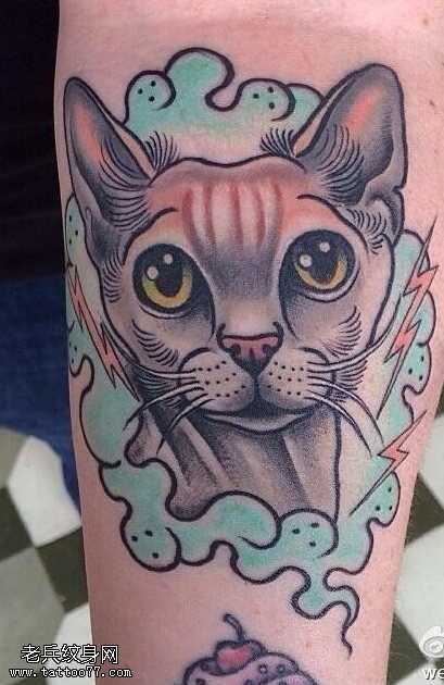 手臂猫咪纹身图案