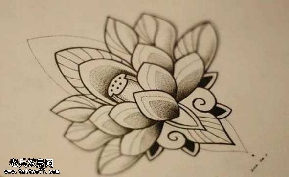 一款经典的荷花纹身图案