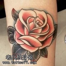 手稿一只美丽的玫瑰纹身图案