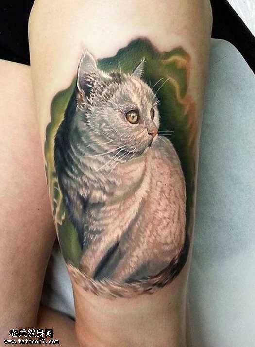 腿部好看的猫咪纹身图案