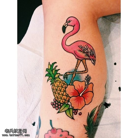 小腿的热带水果火烈鸟纹身图案