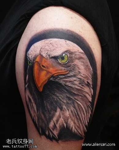 胳膊鹰头纹身图案