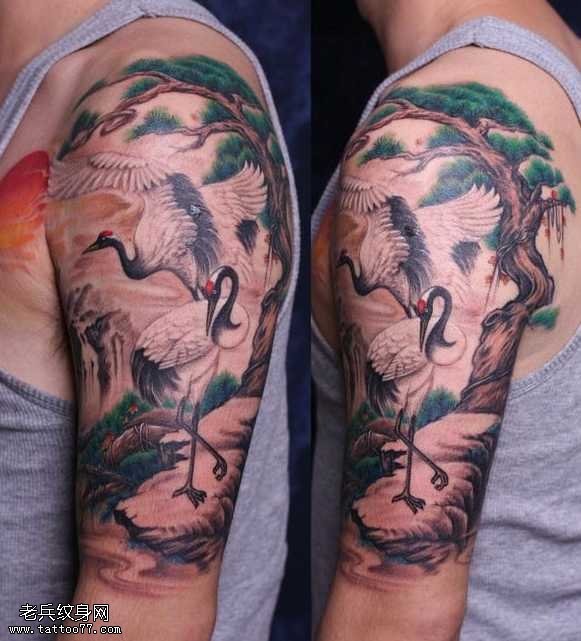 手臂上的丹顶鹤纹身图案