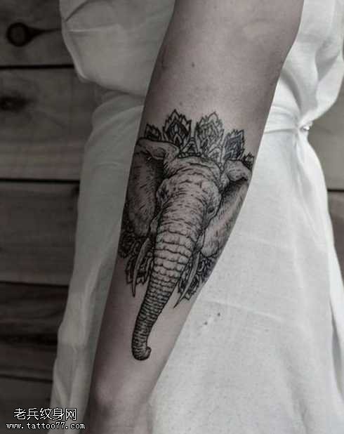 手臂上帅气的大象纹身图案