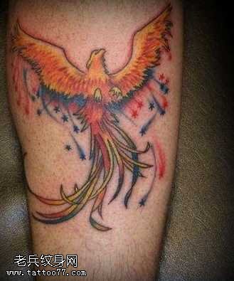 腿部彩色火凤凰纹身图案
