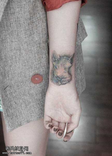 手腕斯芬克斯猫咪纹身图案