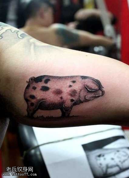 手臂猪纹身图案