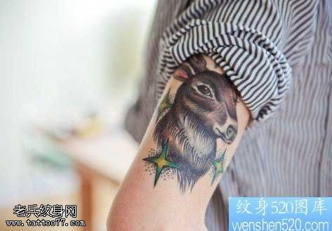 手臂彩色羚羊纹身图案
