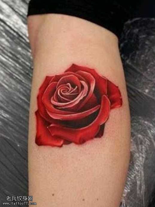 手臂红玫瑰纹身图案