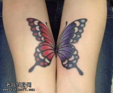 手臂蝴蝶情侣纹身图案