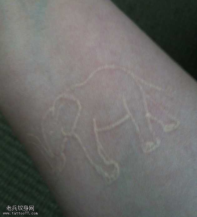 漂亮简单大象隐形纹身图案