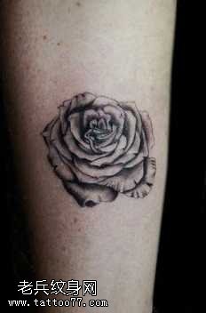 黑灰玫瑰纹身图案