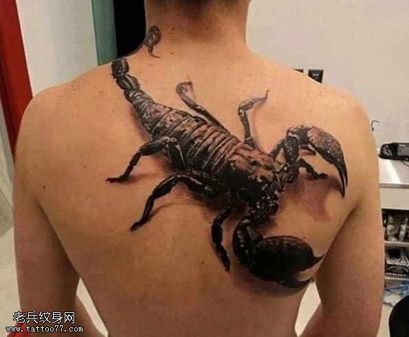 背部黑蝎子纹身图案