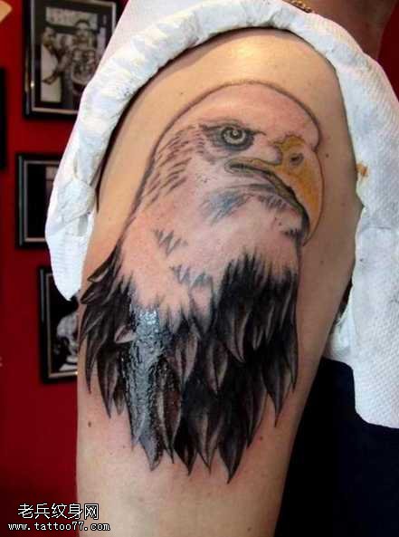 胳膊老鹰头纹身图案