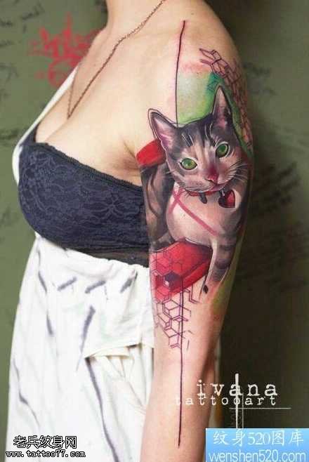 胳膊猫咪纹身图案