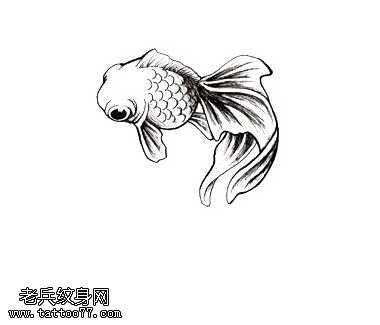 手稿金鱼纹身图案
