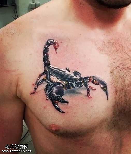 胸部血蝎子纹身图案