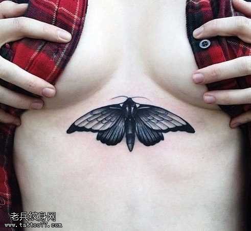腹部飞蛾纹身图案
