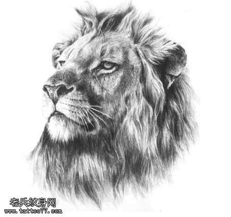 手稿时尚狮子纹身图案