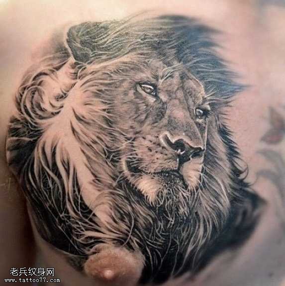 胸部霸气狮子纹身图案
