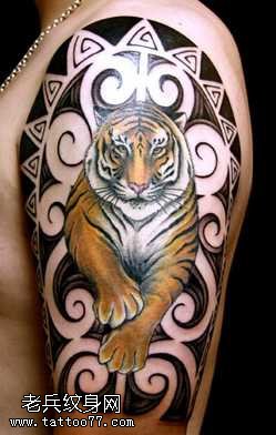 胳膊老虎纹身图案