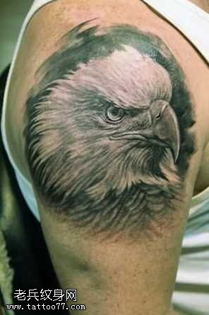 胳膊个性老鹰头纹身图案