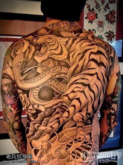 背部老虎战蛇纹身图案