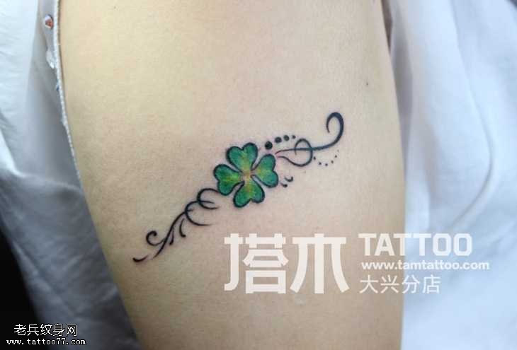 胳膊四叶草纹身图案