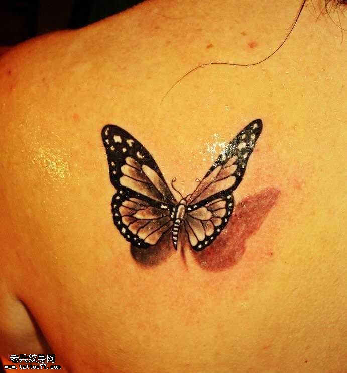 背部逼真蝴蝶纹身图案