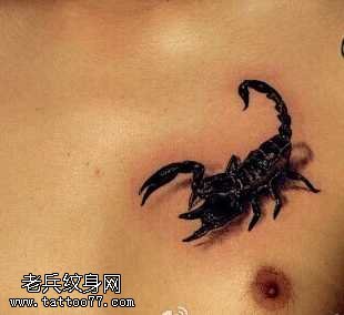 胸部蝎子图腾纹身图案