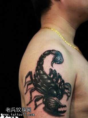 胳膊胖蝎子纹身图案