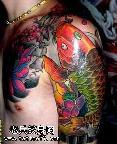 彩色漂亮的半甲鲤鱼纹身图案