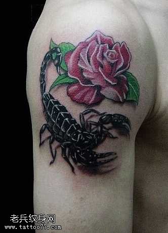 胳膊蝎子玫瑰纹身图案